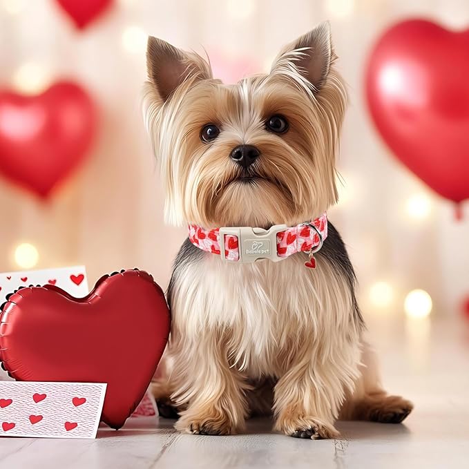 Valentines Dog Collar for Medium Dogs - Cute Pink Girl Dog Collar, Doodle Heart Pattern, Adjustable Valentine Dog Collars with Red Heart Charm M
