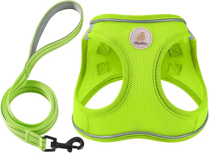 Hipubby Dog Harness and Leash Set, No Pull Soft Mesh Puppy Harness for Small Medium Dogs, Cats - Step in Reflective Breathable Lightweight Vest Harness for Walking, Training - Bright Green, XXS