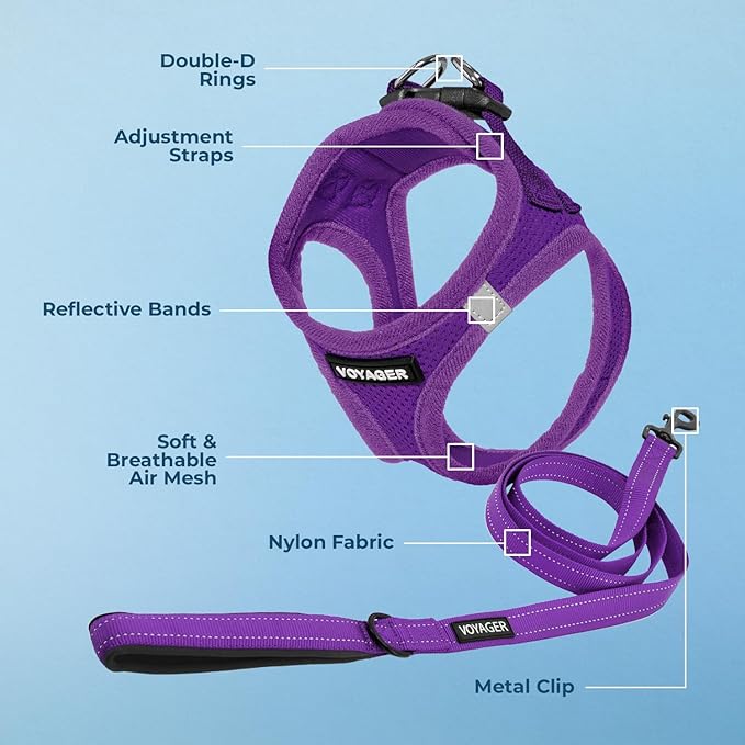 Best Pet Supplies Voyager Step-in Air All Weather Mesh Harness and Reflective Dog 5 ft Leash Combo with Neoprene Handle, for Small, Medium and Large Breed Puppies - Set (Purple), S