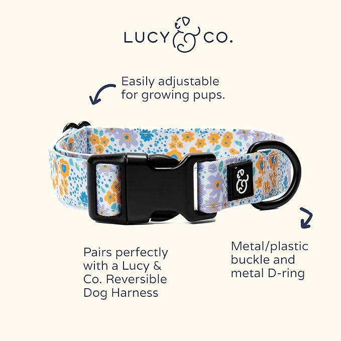 Lucy & Co. Among The Wildflowers Dog Collar - Durable Lightweight Designer Collar for Pets - Adjustable Metal Safety Buckle - Purple Floral - Medium