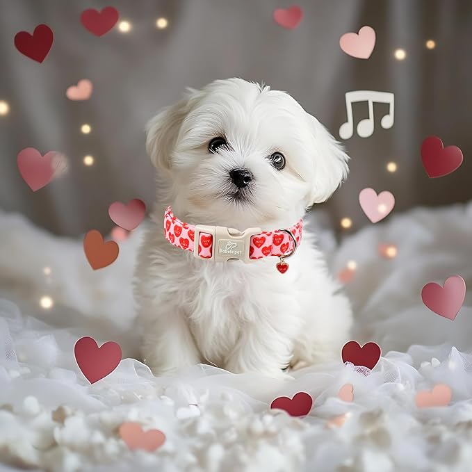 Valentines Dog Collar for Small Dogs - Valentine Red Conversation Hearts Dog Collars, Love Boy Girl Dogs Collars, Lightweight Adjustable Cute Puppy Collar with Quick-Release Buckle S