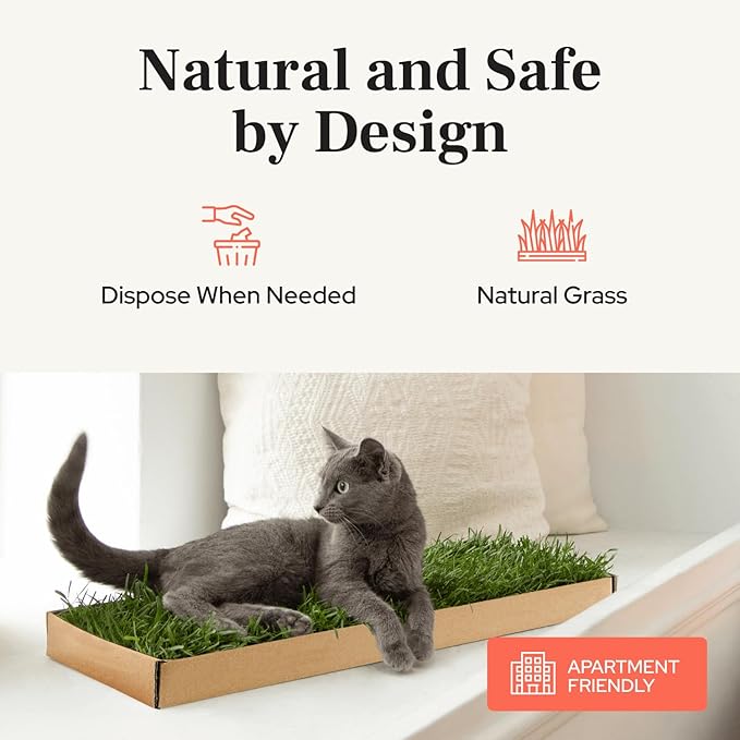 Kitty Lawn Real Grass Cat Window Perch - Natural Indoor Lounger for Large & Small Cats - California Grass - 24x9 Inch - USA Grown