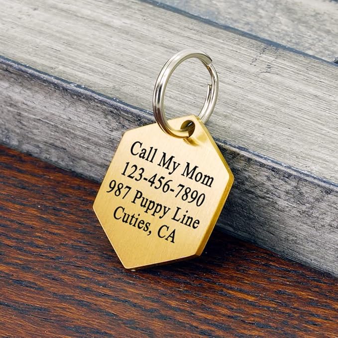 Ultra Joys Custom Personalized Hexagon Dog ID Tag - Brushed Stainless Steel, Gold, Large