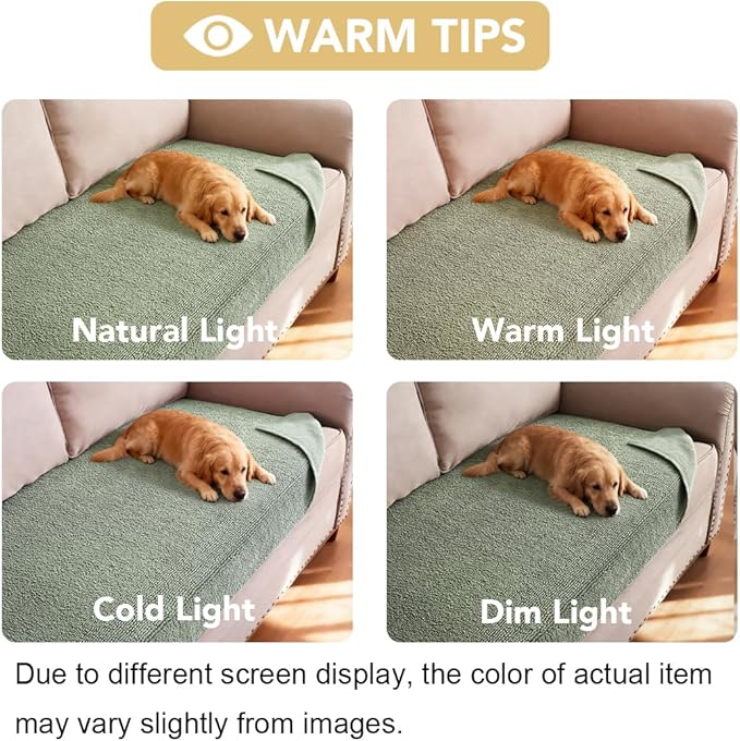 H.VERSAILTEX Non Slip Pet Couch Cover Chenille Dog Bed Protector Thick Soft Sofa Slipcover Pet Friendly Washable Couch Cushion Covers for Pets (40" x 50", Sea Foam)