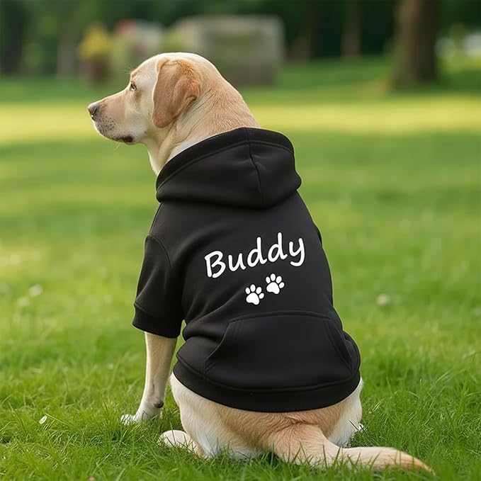 Personalized Dog Hoodie with Name/Text, Custom Embroidered or Printed Dog Sweater, Warm Winter Hoodie for Puppies, Cute Birthday Outfit, Unique Gift for Pet Lovers, A2