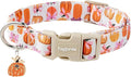 Faygarsle Fall Pumpkin Pattern Dog Collar with Charm, Adjustable Neckwear for Small Medium Large Dogs, Orange and Pink for Small Medium Large Dogs L