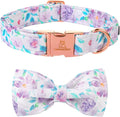 Lionheart glory Purple Dog Collar, Adjustable Dog Collar with Bowtie, Pet Gift Collar for Dog Soft Bowtie Dog Collars for Small Dogs