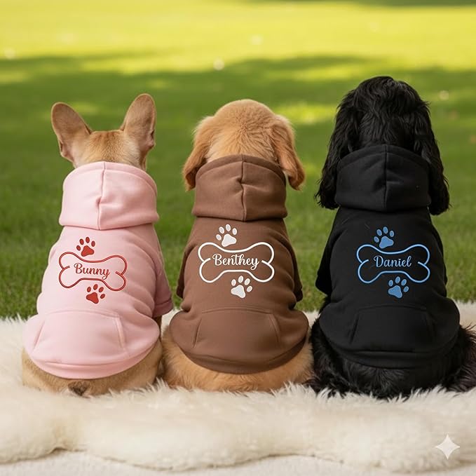 Personalized Name Dog Hoodie, Embroidered Hoodies Pets Name, Custom Pet Memorial, Bright Puppy Sweatshirt, Customized Pet Clothes Warm Winter Outfit for Dogs, Gift for Dog Lovers Style 3