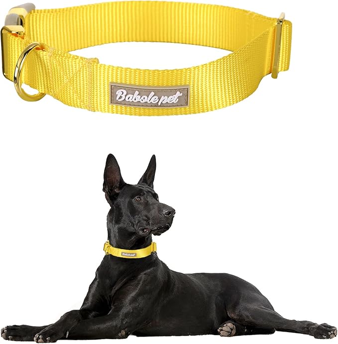 Nylon Dog Collar - Adjustable Yellow Soft Webbing Dog Collars for Small Medium Large Dogs Boy Girl Puppy Collar with Safety Metal Buckle M