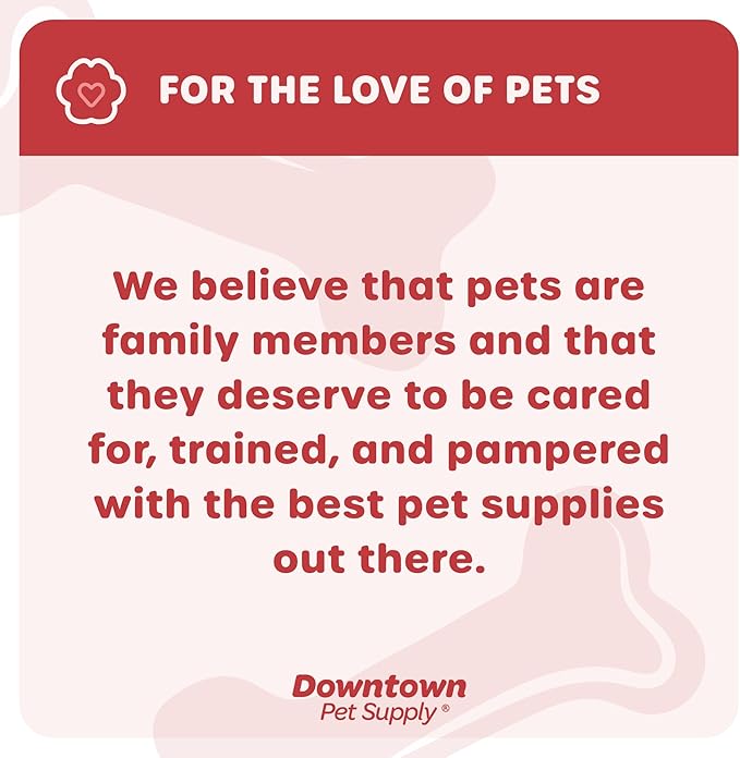 Downtown Pet Supply Step in Dog Harness for Small Dogs No Pull, Medium, Bermuda Blue - Adjustable Harness with Padded Mesh Fabric and Reflective Trim - Buckle Strap Harness for Dogs