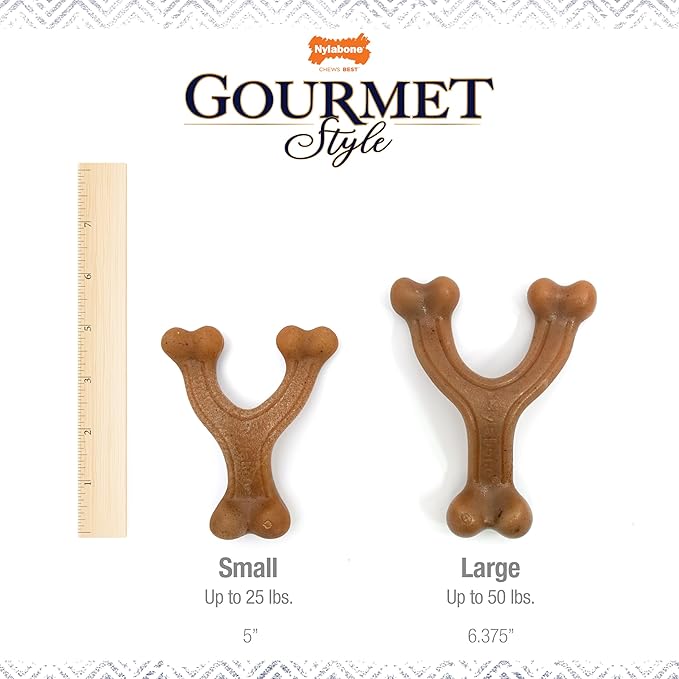 Nylabone Gourmet Style Wishbone Strong Chew Toy for Dogs, Bacon Flavor, Small - Up to 25 lbs, 1 Count