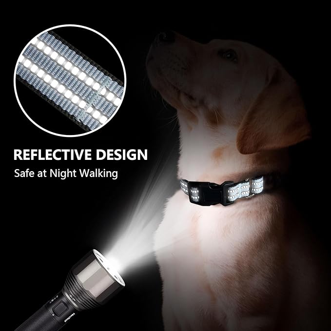 Martingale Dog Collar, Adjustable Nylon Reflective Collar with Quick Release Buckle (Ice Blue, Medium)
