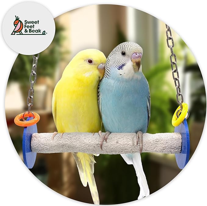 Sweet Feet and Beak Bird Swing - Pumice Perch Trims Nails and Beaks, Safe and Non-Toxic, For Small and Large Birds, 10.5 Inches