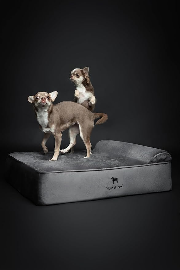 NOAH & PAW Dog Bed, 28x23x7.5 Inch, Orthopedic Dog Beds for Medium Size Pets, Eggshell Memory Foam Infused with Cooling Gel, Waterproof, Machine Washable, Includes Inner Cover (Velvet Collection)