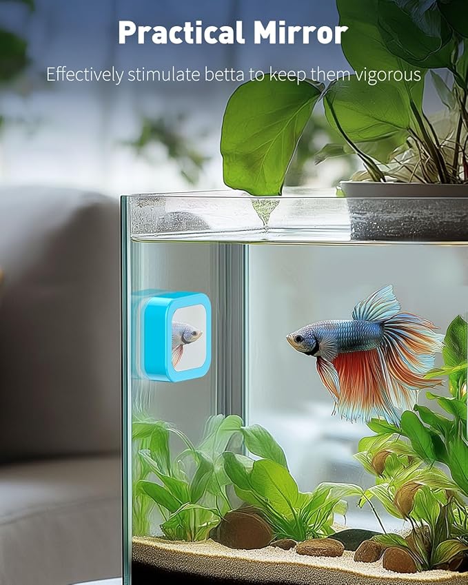 Pawfly Magnetic Aquarium Glass Cleaner Fish Tank Magnetic Brush with Mirror, 1.5 Inch Mini Fish Tank Glass Cleaner Cleaning Tool for 2/5 Inch Thick Aquarium up to 10 Gallons (Non-Floatable)
