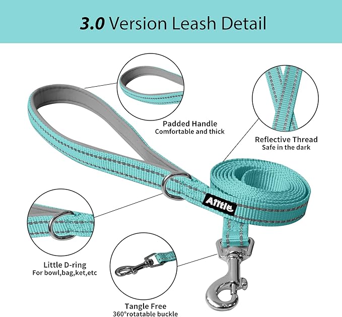 AIITLE Escape Proof Dog Harness - Step in Adjustable Dog Harness No Choke Over with Breathable Mesh and Quick-Release Buckle - Outdoor Walking, Training for Medium Dogs Pure Turquoise XL