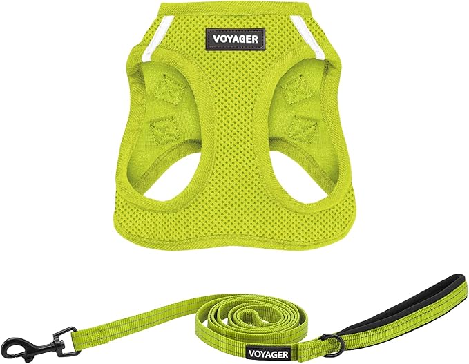 Best Pet Supplies Voyager Step-in Air All Weather Mesh Harness and Reflective Dog 5 ft Leash Combo with Neoprene Handle, for Small, Medium and Large Breed Puppies - Set (Lime Green), XXS