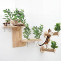 Novabright 3 Pcs Cat Wall Shelves Set, Double-Layer Platform Cat Wall Furniture & 2 Wood Scratching Steps, Wall-Mounted Space-Saving Climbing System for Indoor Kitty, Easy Install