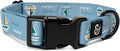 Lucy & Co. Set Sail Adjustable Dog Collar- Cute Designer Pet Collar for Small, Medium, Large Dogs- Buckle Closure Dog Accessories, Small, Blue with Green & Yellow Sailboats