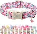 Floral Dog Collar, Cute Girl Dog Collars - Pastel Wildflowers Pattern Spring Summer Puppy Collar, Adjustable Female Dog Collars for Small Medium Large Dogs M