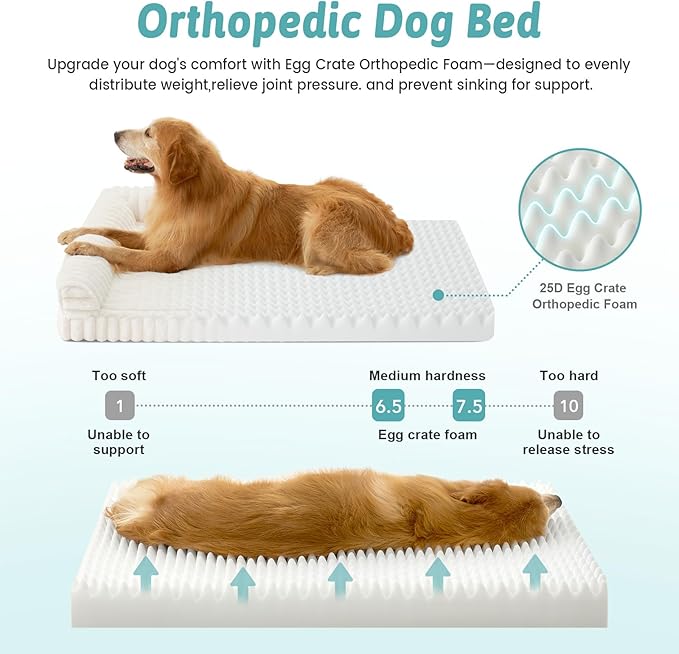 Cute Dog Bed for Small Dogs, Faux Rabbit Fur Orthopedic Foam Dog Bed with Sides, Removable Washable Cover & Waterproof Lining, Comfortable Pet Couch, Cream (30" L x 20" W x 6" Th)