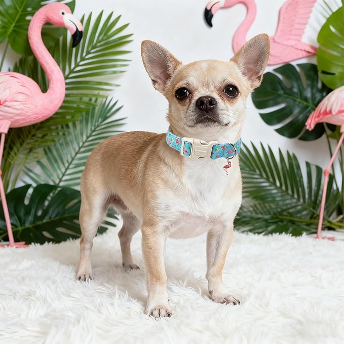 DOGWONG Spring Summer Dog Collar-Cute Flamingo Dog Collar, Adjustable Soft Beach Hawaiian Dogs Collars for Large Dogs, XL