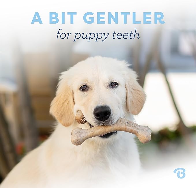 Benebone Puppy Wishbone Dog Chew Toy, Made in USA, Real Bacon Flavor, Small