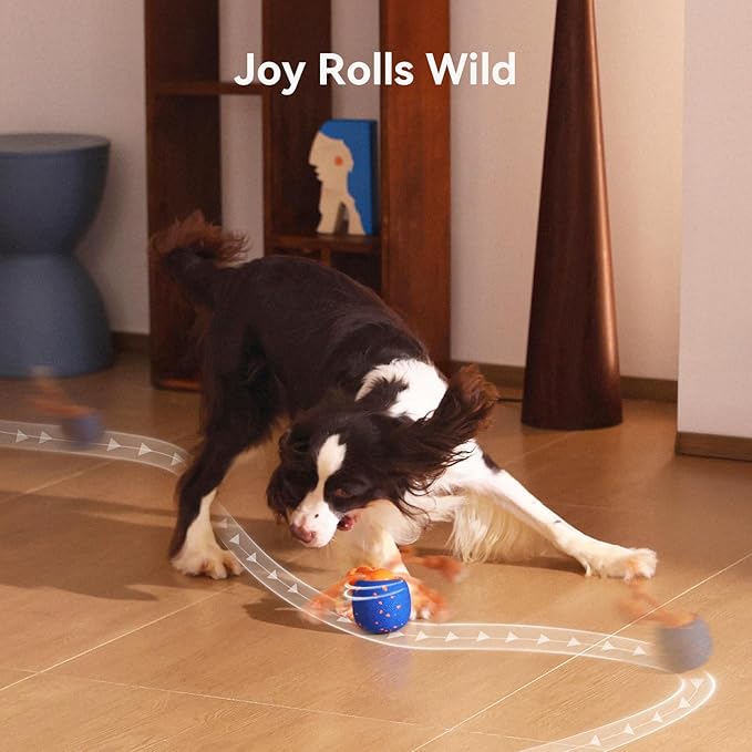 Cheerble Smart Interactive Dog Toy, Wicked Ball Rolly, Automatic Moving, Bouncing, Rotating, E-TPU Material, Active Rolling Interactive Dog Ball for Medium and Large Dogs (Blue)