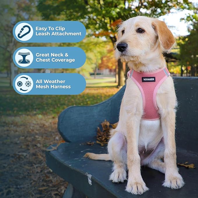 Best Pet Supplies Voyager Step-in Air All Weather Mesh Harness and Reflective Dog 5 ft Leash Combo with Neoprene Handle, for Small, Medium and Large Breed Puppies - Harness Leash Set (Pink), M