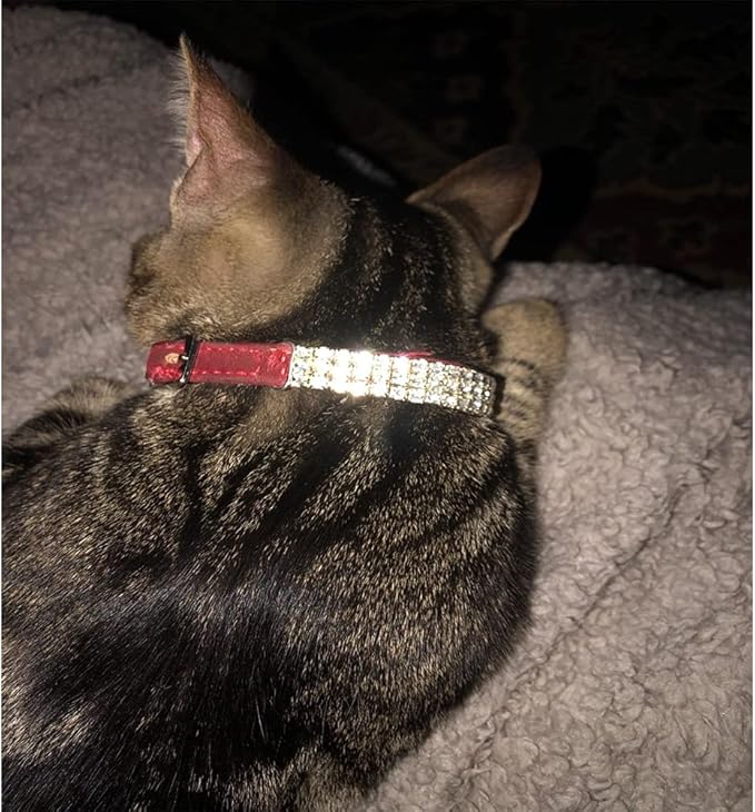 CHUKCHI Soft Velvet Safe Cat Adjustable Collar Bling Diamante with Bells,11 inch for Small Dogs and Cats (Red)