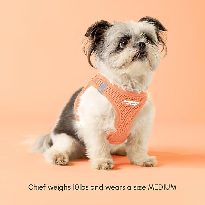 Downtown Pet Supply Step in Dog Harness for Large Dogs - Adjustable, Escape Proof Dog Harness with Reflective Trim - All-Weather, Fast-Drying Padded Mesh Fabric - Tangerine, X-Small