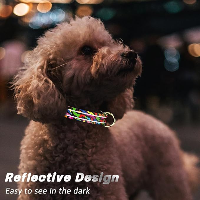 Reflective Dog Collar for Large Dogs, Cute Boho Adjustable Heavy-Duty Nylon Puppy Collar for Boy and Girl Female, Soft Pet Accessories with Quick Release Buckle, Abstract Rainbow Art