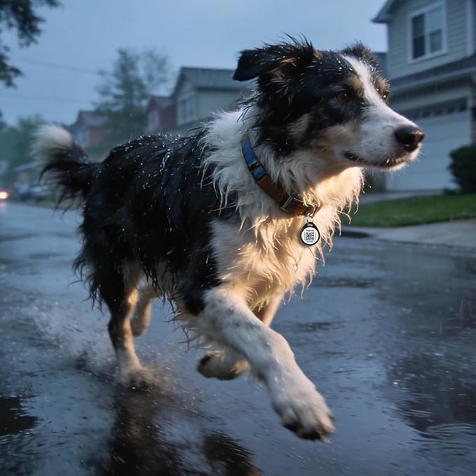 (2 Pack) Smart QR Code ID Dog cat Tags for Collar Personalized for Pet Online Profile - Scan QR Receive Instant Pet Location Alert Email, Anti-Lost,No Subscription fees (Black & Pink, for Dog - 1.2")