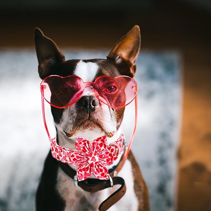 Lionheart glory Valentine's Day Dog Collar with Flower Dog Collars Red Hearts Dogs Collar with Bowtie for X-Small Dogs Puppy Spring Puppy Pet Collars Bows