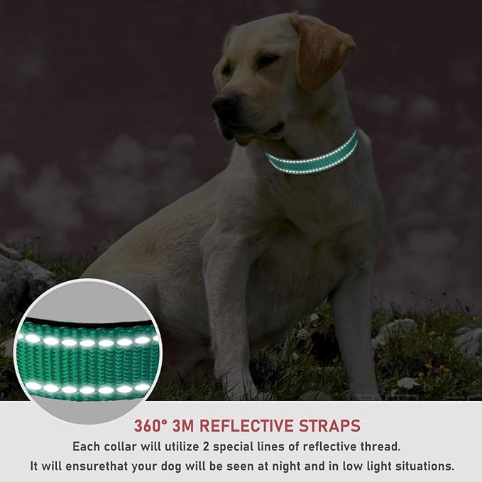 Reflective Dog Collar with Buckle Adjustable Safety Nylon Collars for Small Medium Large Dogs, Green L