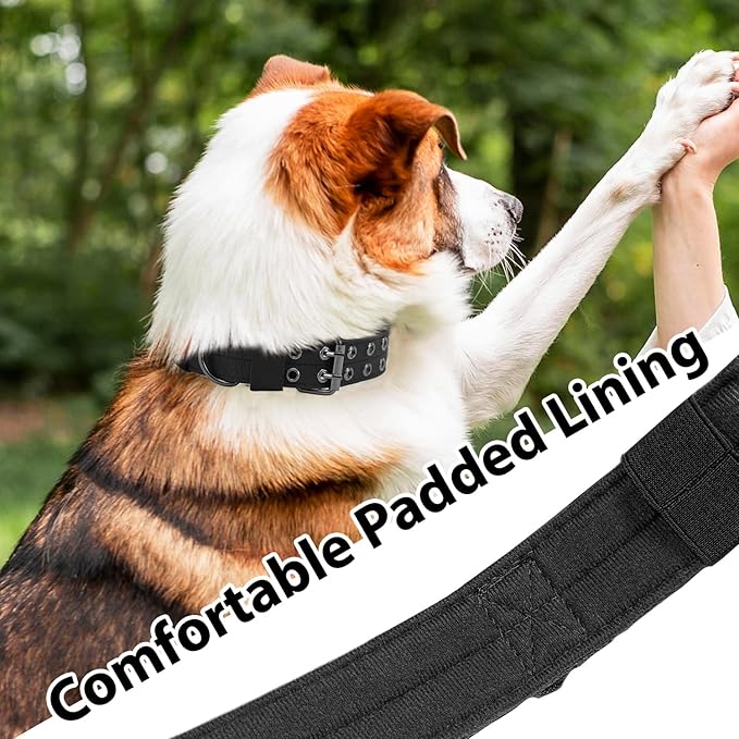 Tactical Dog Collar Military Adjustable Dog Collars Soft Nylon Training Collar with Patch Heavy Duty Metal Buckle Collars for Medium Large Dogs (Violet, M)