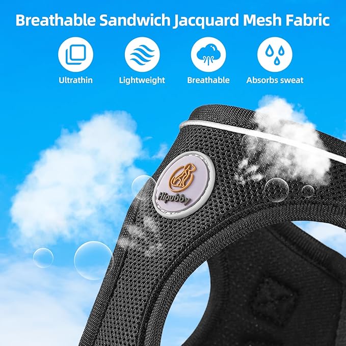 Hipubby Dog Harness and Leash Set, No Pull Soft Mesh Puppy Harness for Small Medium Dogs, Cats - Step in Adjustable Reflective Pet Harness with Buckle and Double D-Rings - Black, XS