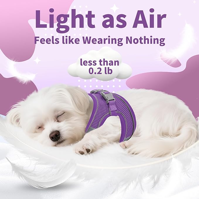 AIITLE Step in Dog Harness and Leash Set - No Pull Escape Proof Vest Harnesses with Soft Mesh and Reflective Bands, Adjustable Pet Outdoor Harnesses for Small and Medium Dogs Pure Purple M