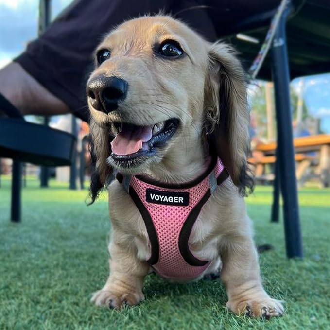 Best Pet Supplies - All Weather Mesh / Plush, Reflective, No Pull Harness for Small, Medium Dogs, Cats - Secure with Hook & Loop Fastener, Buckle, Double D-Rings - Pink/Black Trim, XS