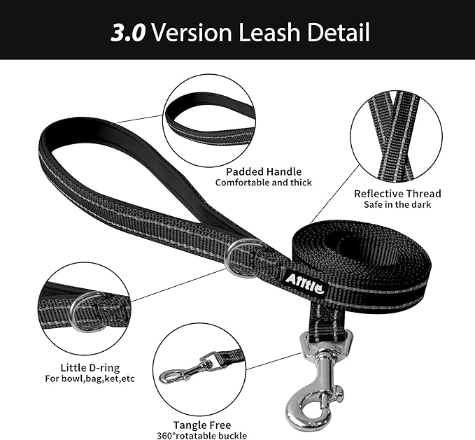 AIITLE Comfortable Dog Harness and Leash Set for Walking - Step in Vest Harness,Reflective Bands, Adjustable No Pull Puppy Essentials, for Small Dogs and House Cats Black XS