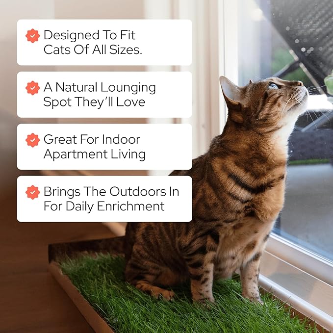 Kitty Lawn Real Grass Cat Window Perch - Natural Indoor Lounger for Large & Small Cats - California Grass - 24x9 Inch - USA Grown