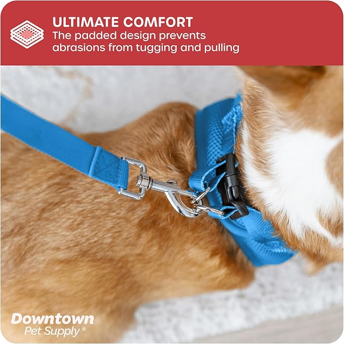 Downtown Pet Supply Step in Dog Harness for Small Dogs No Pull, Small, Cobalt - Adjustable Harness with Padded Mesh Fabric and Reflective Trim - Buckle Strap Harness for Dogs