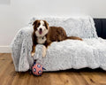 PJYuCien Dog Blankets for Medium Large Dogs Washable - Fluffy Fuzzy Cat Blanket for Couch, Puppy Throw for Furniture with Polyester Fleece, Super Soft Plush for Pet Kitten Doggy, Grey, 50" x 60"