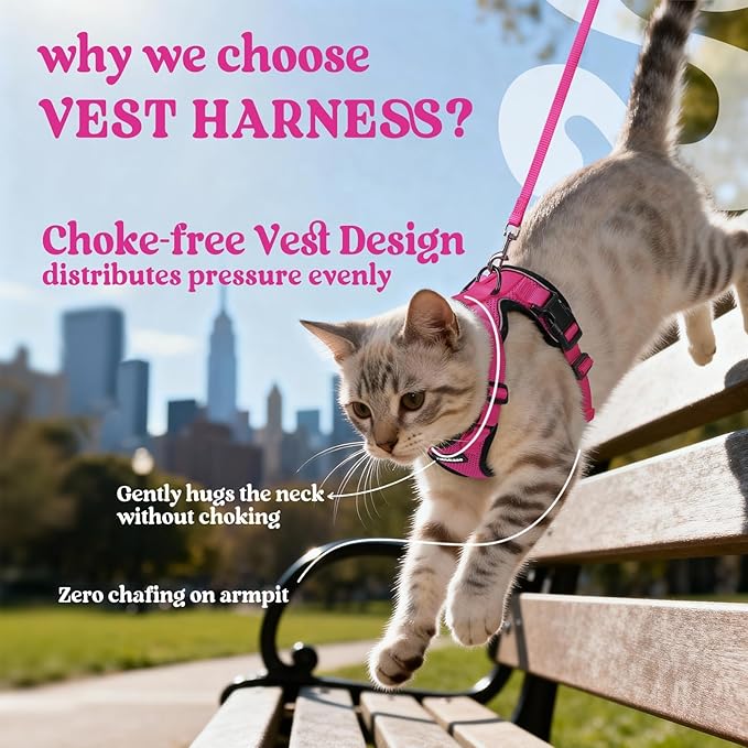 rabbitgoo Cat Harness and Leash for Walking, Escape Proof Soft Adjustable Vest Harnesses for Cats, Easy Control Breathable Reflective Strips Jacket, Rose Red, M