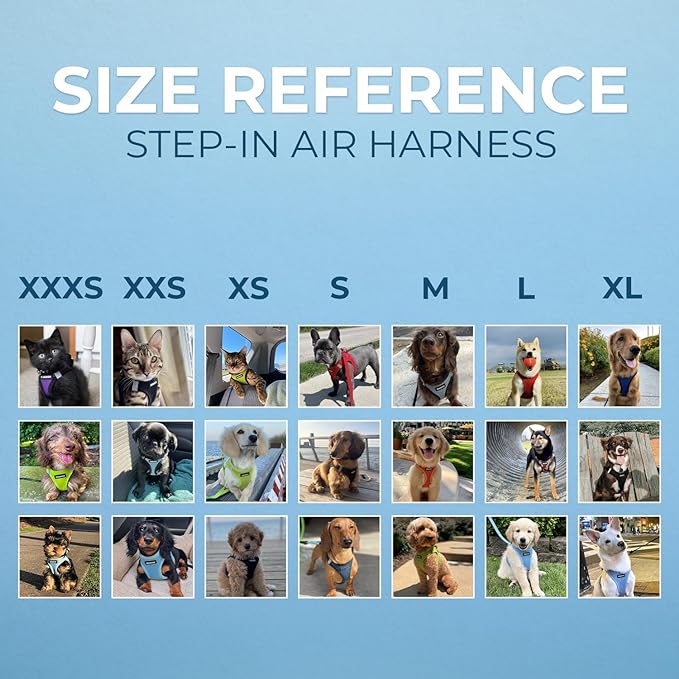 Best Pet Supplies - All Weather Mesh/Plush, Reflective, No Pull Harness for Small, Medium Dogs, Cats - Secure with Hook & Loop Fastener, Buckle, Double D-Rings - Gray 2-Tone, M