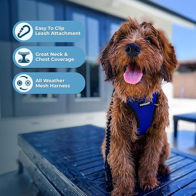 Best Pet Supplies Voyager Step-in Air All Weather Mesh Harness and Reflective Dog 5 ft Leash Combo with Neoprene Handle, for Small, Medium and Large Breed Puppies - Royal Blue/Black Trim, X-Small