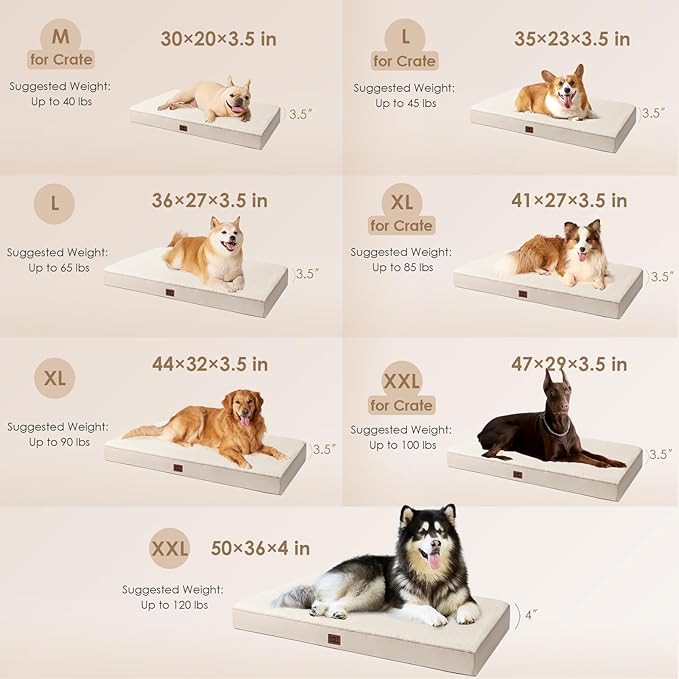 EHEYCIGA Orthopedic Dog Beds for Large Dogs with Removable Washable Cover, Camel, 36x27