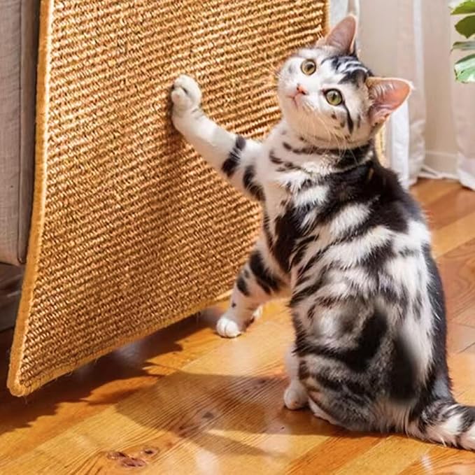 2Pack Cat Scratcher Mat,23.6 X 15.7 Inch,sisal cat scratchers for Indoor Cats,cat Scratch pad,cat Scratching Board,cat Scratching Post,sisal Rug Carpet,cat Scratch Furniture Protector,Brown