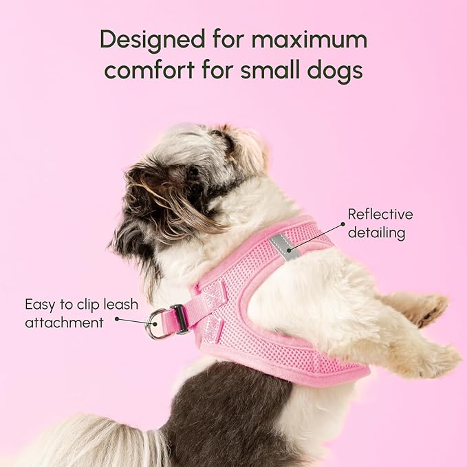 Downtown Pet Supply Step in Dog Harness for Small Dogs - Adjustable, Escape Proof Dog Harness with Reflective Trim - All-Weather, Fast-Drying Padded Mesh Fabric - Baby Pink, XS