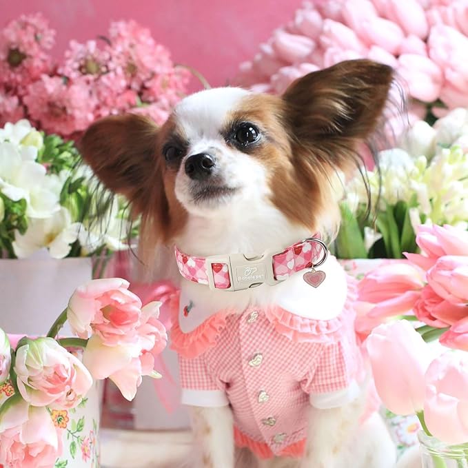Valentines Dog Collar for Large Dogs - Cute Valentine Pink Hearts Girl Dog Collars, Adjustable Girly Puppy Collar with Quick Release Buckle for Female Dogs L